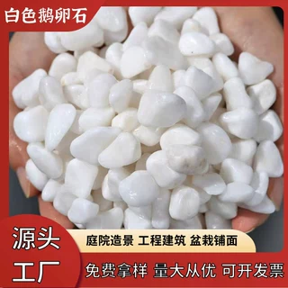 定制白色石子 园林造景庭院铺路用白石子 透水地坪白色水洗石