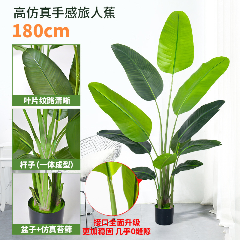 仿真绿植天堂鸟仿真花假树植物仿生高端轻奢客厅落地摆件造景盆栽|undefined