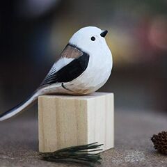 太った白い真珠の鳥の事務室のテーブルは癒しを並べます。