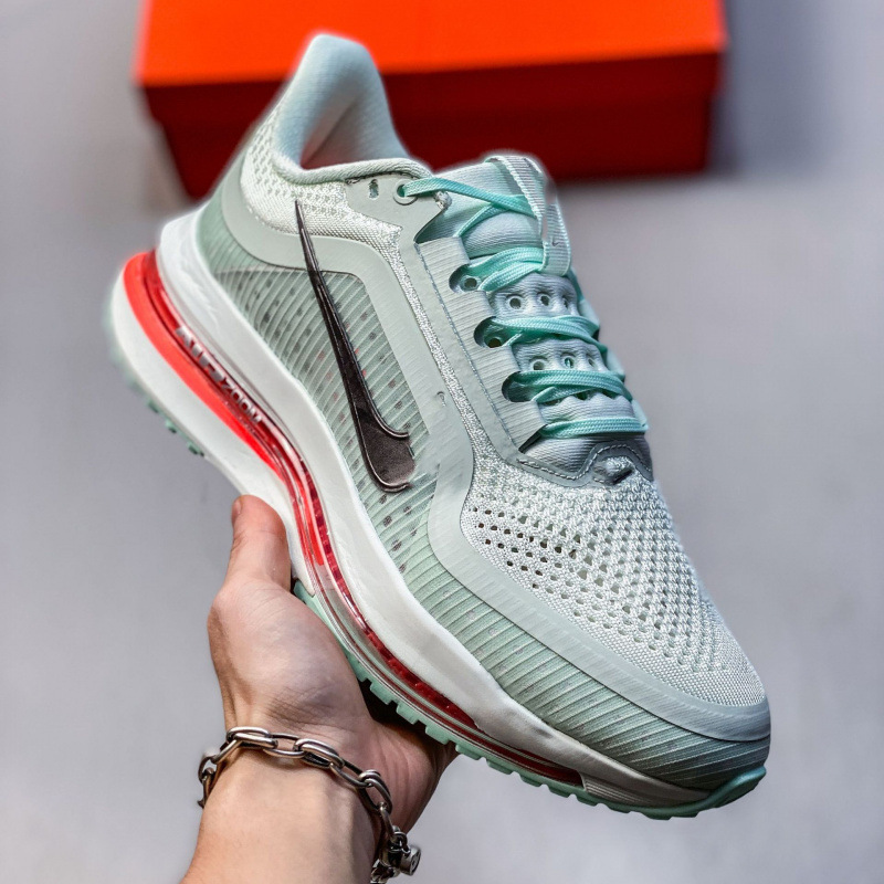 Nike Air Pegasus Premium Low Prototype