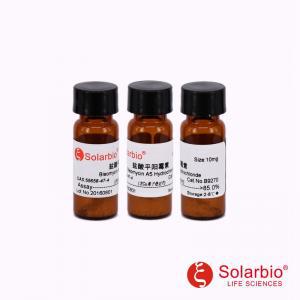 B9270 盐酸平阳霉素 55658-47-4 Bleomycin A5 Hydrochloride