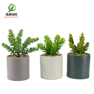 仿真多肉植物 金钱串果粒塑胶花 组合盆栽花艺diy塑胶盆景绿植