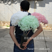 ��������֧���Ƚ�����֦ľ������~���� DIY���r���滨��������