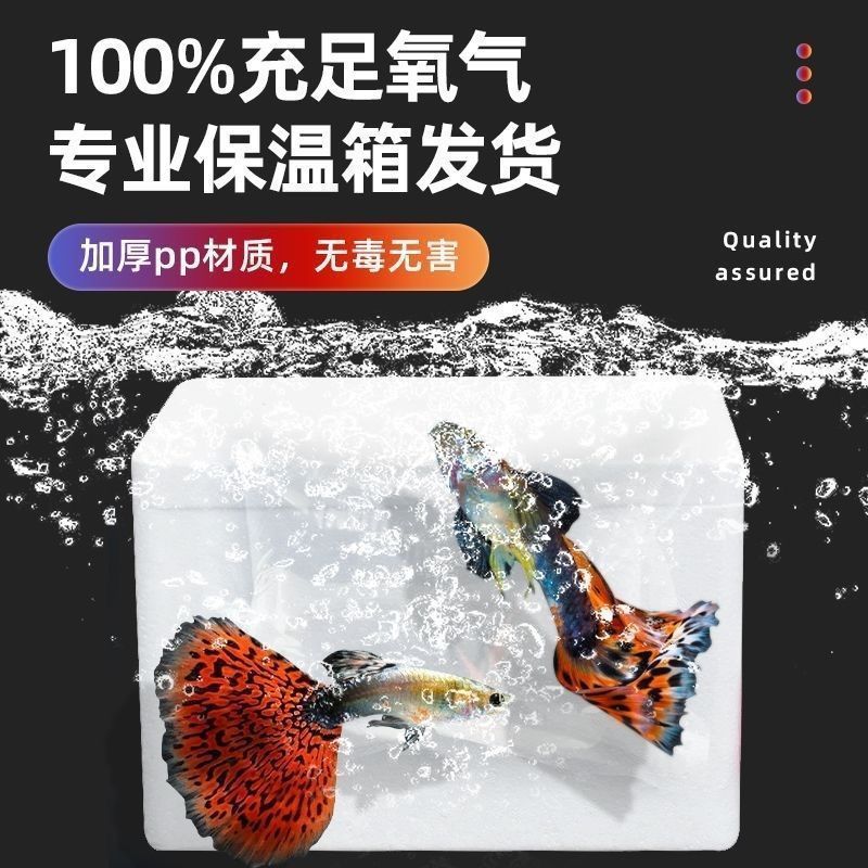 d125a34a-0a70-42e7-879d-7bbcc36d2349.jpe