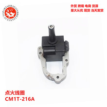 �m����ծa������c��ȦCM1T-216A CM1T-215A CM1T216A CM1T215