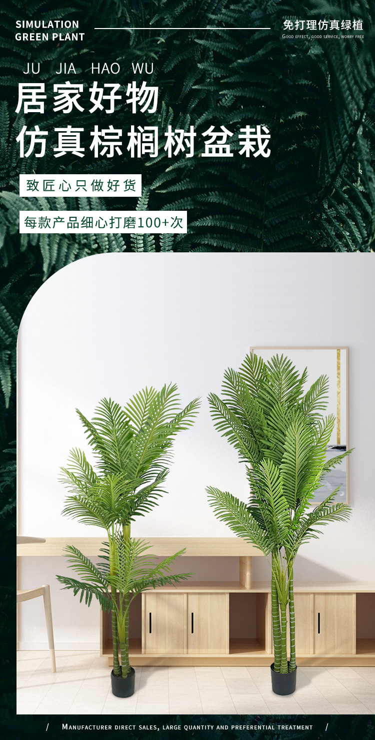 棕榈树详情1_01.jpg