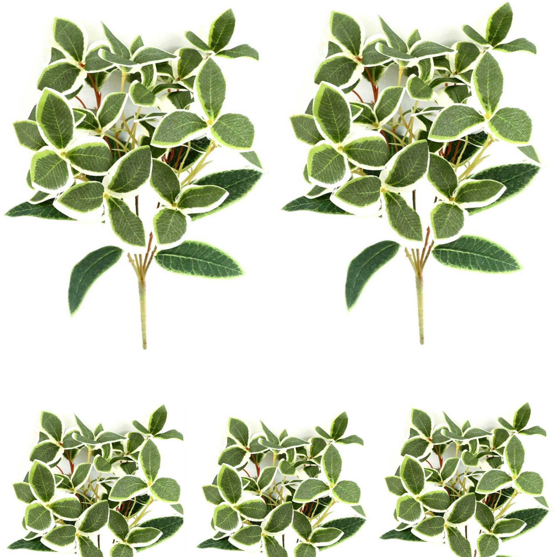 Silver edge simulation flower simulation green plant leaves fake…