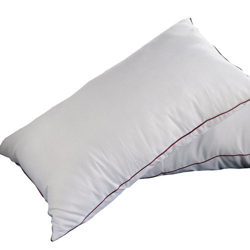 New Plush Printed Hotel Pillow Feather Velvet Double Pillow Core Home Student Fluffy Soft Single Pillow Wholesale