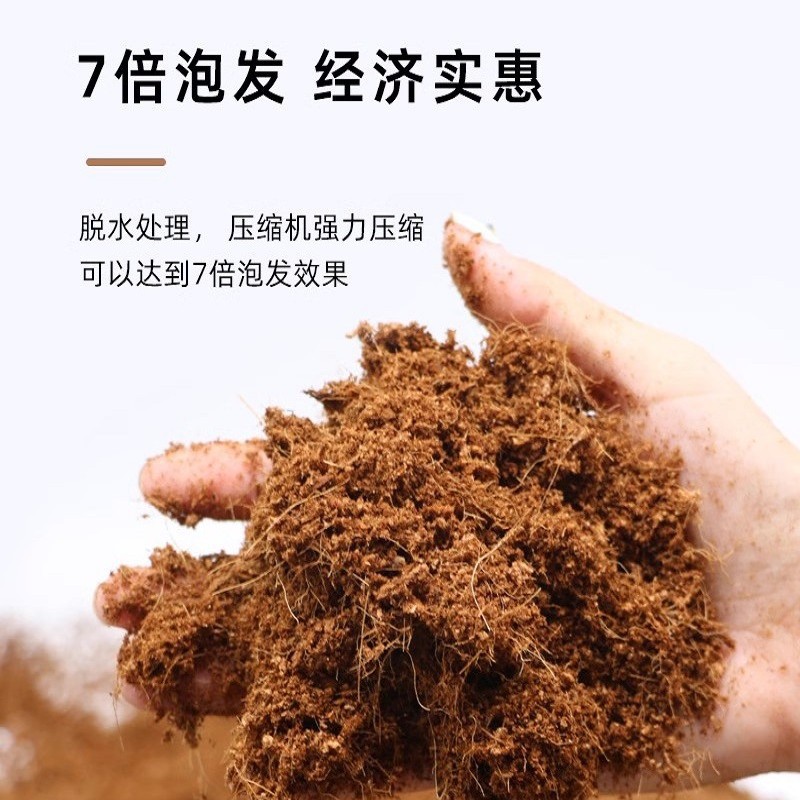 소라게 쓰레기 코코넛 벽돌 코코넛 껍질 매트 초보 이끼 거품없는 코코넛 토양 털갈이 보습 따뜻한 영양 토양