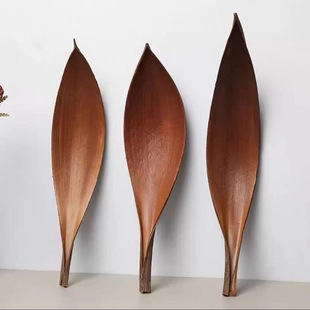 Cocoa Leaf Dried Flower Natural Plant Leaves Photo Props Homestay Model Room Desktop Decoration Tray Creative