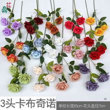 3^Z ֦5^õ Ƶ͏d·廨bٻ zӰ߻