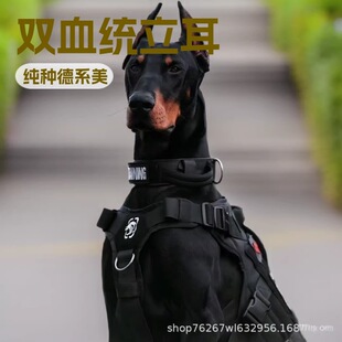 ���N���eȮ��Ȯ���w�����pѪ�y��ϵ��ϵ�����o�lȮ����Ȯ܊��Ȯ