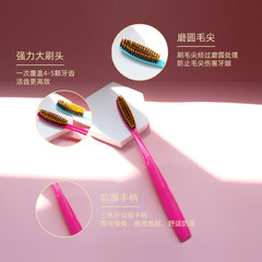 寬頭大頭牙刷護齦舒適軟毛家庭裝情侶包裝便攜式旅行牙刷廠家批發