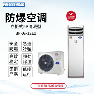 �i��������{BFKG-12Ex��ů����ʽ5P�������{�C��ȼ�ױ����س���