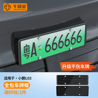 License plate holder/license plate holder L03 model: complete set of - carbon-fiber-pattern