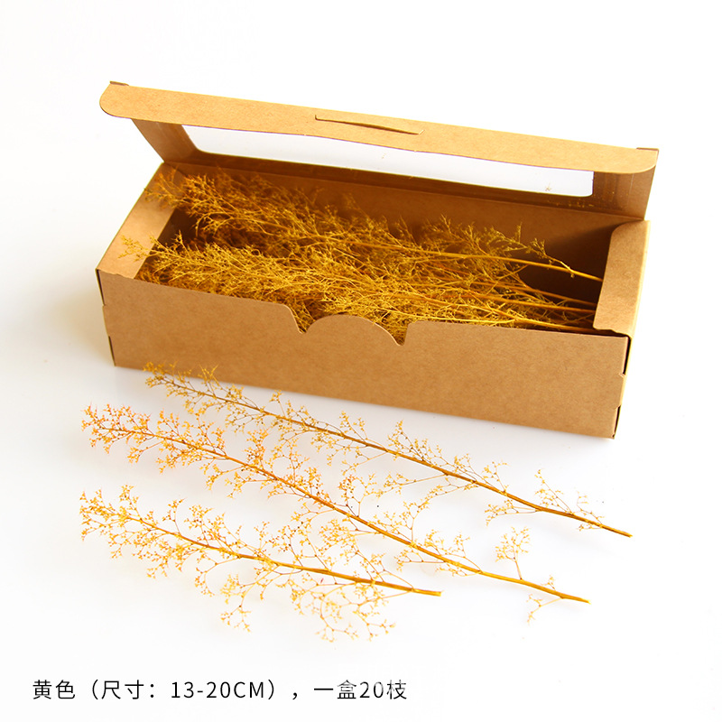 Cao cấp 12-20cm chi ngắn [hộp màu vàng 20 chiếc]