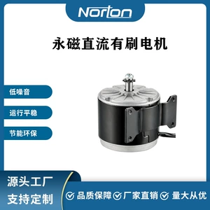 ZY1016-350W24V с постоянным магнитом, щеточный двигатель постоянного тока, двигатель газонокосилки