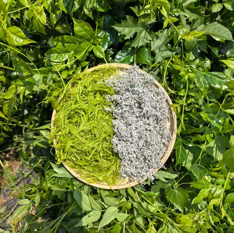 源头工厂产地之供张家界莓茶特级龙须芽尖野生藤茶正宗湖南永顺|undefined
