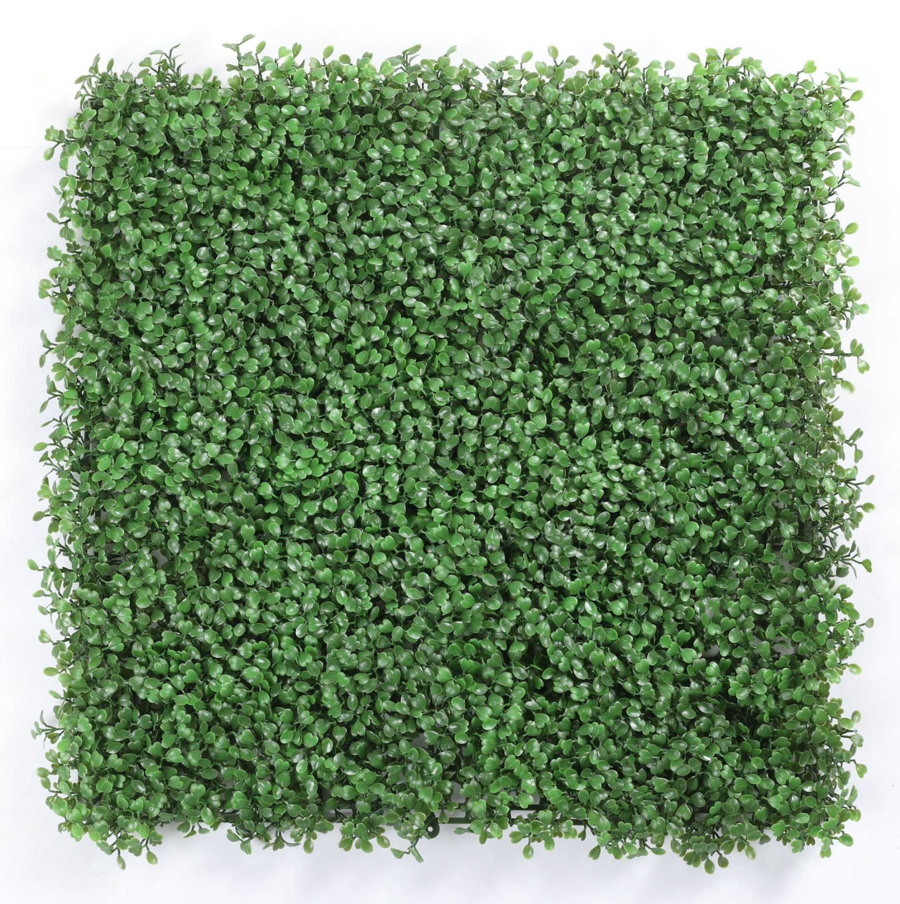 50*50cm light color milan grass
