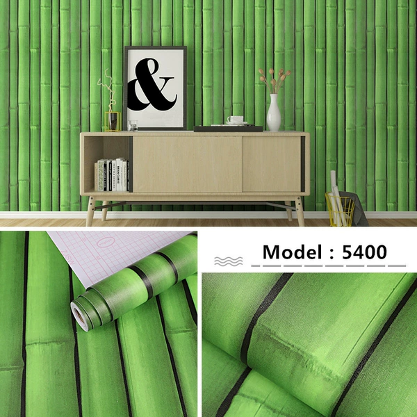 Model: 5400