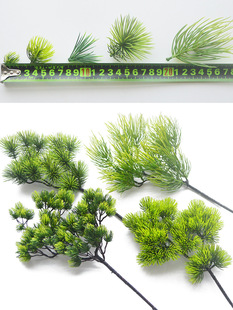 ��֦����_�h�ɼ�ӭ�������~�~�������ɘ������ɺ����쾰���~