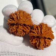 菊花大灯笼麻核桃型正配对好陕西秦岭文玩粗筋矮桩手把件元宝铁球