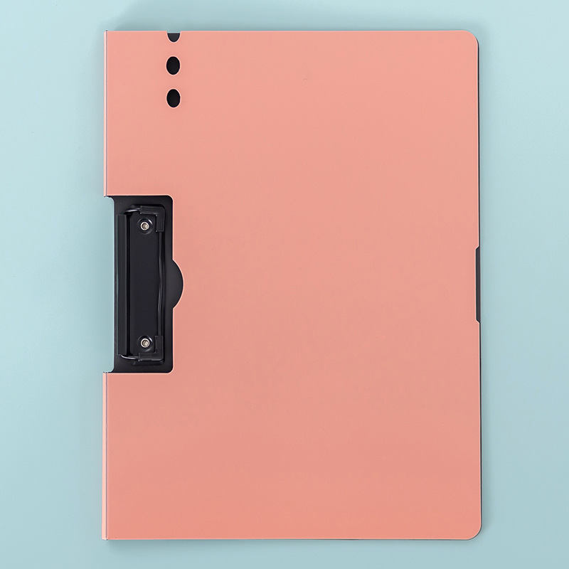 핑크 오렌지 8172