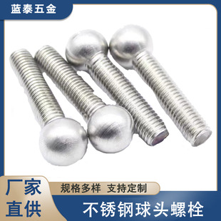 304���P����^��˨M3-M8 �f�����^��˨ �ֱ��{���� �A�^���S���l