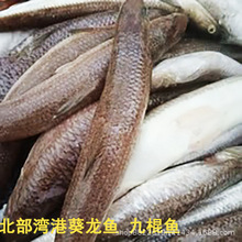 ���������r������β�綡�~�����~���rˮ�a�Ǹ��~���r�Ǹ����Ź��~