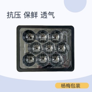 Bayberry Box Blister Tray with Pet Base, Pp Transparent Plastic Packaging Box, Available in Various Sizes and Specifications, Pressure-Resistant