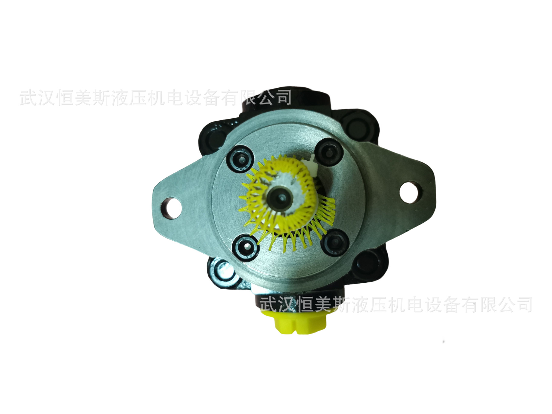 德国BUCHER布赫齿轮油泵QX51-125/33-016R