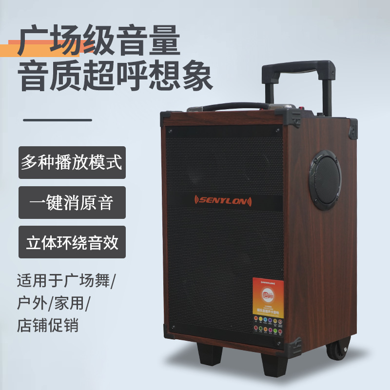 Trolley Bluetooth Speaker 8inch Outdoor High Power Subwoofer Musical Instrument Wooden Square Dance Karaoke Speaker with Microphone