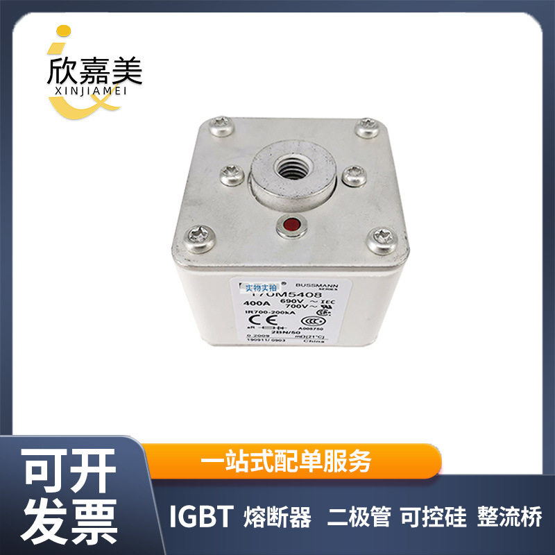 170M5408  170M5410 快速熔断器  保险丝 电子元器件 量大价优