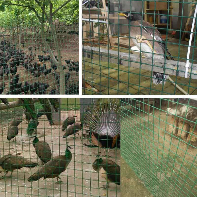 U8国际- U8国际官方网站- U8体育APP下载猪病的防控及治疗技术doc