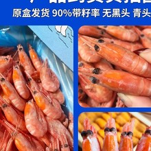 北极甜虾北极熊北极虾刺身头籽腹籽大号冰虾新鲜冷冻即食旗舰店