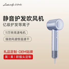 卷发/直发器;电吹风;养生壶