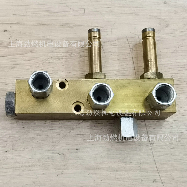 3003831/3003997/3005492利雅路燃烧器油路分布器RL28-130/PRESS