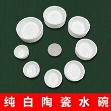 蛐蛐水盂蟋蟀水碗爬宠水盆蝈蝈黑虫油葫芦水杯用品用具大全