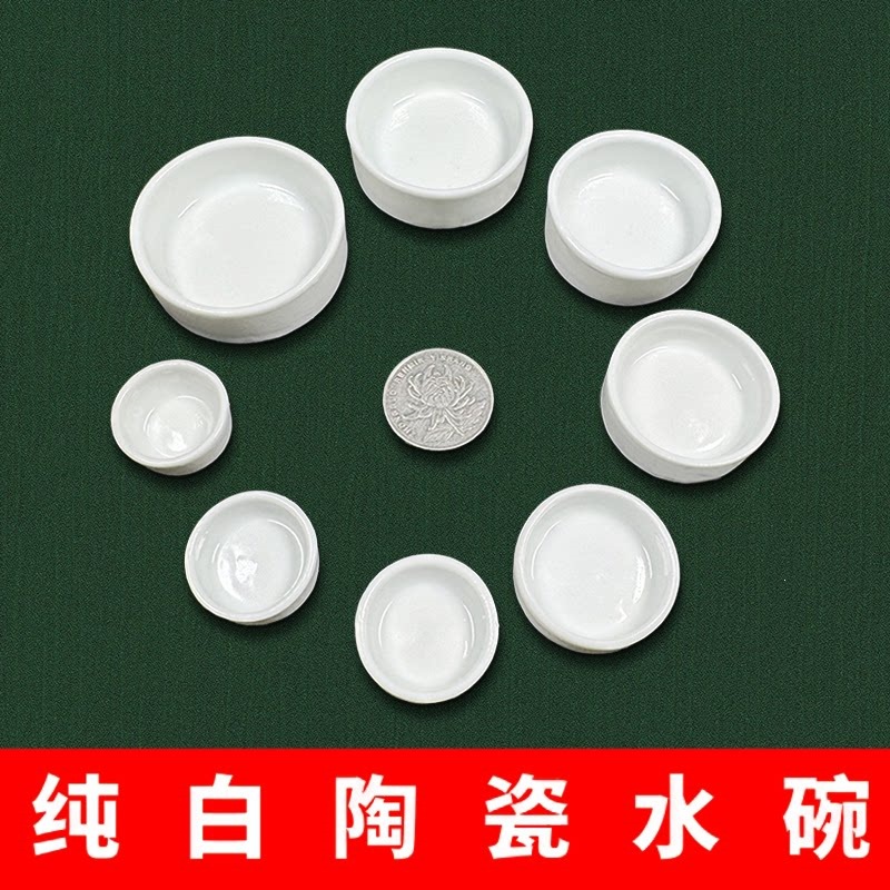 蛐蛐水盂蟋蟀水碗爬宠水盆蝈蝈黑虫油葫芦水杯用品用具大全