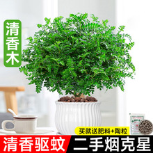 �����������ľ���Ի����҃�����ò���xֲ���Ϙ��b��辰�Gֲ