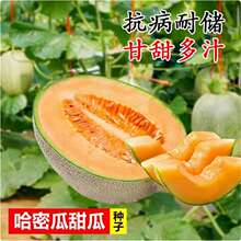 ���羳��؛���½��W�y���ܹϷN���ļ���ˮ�����۹�����������̨