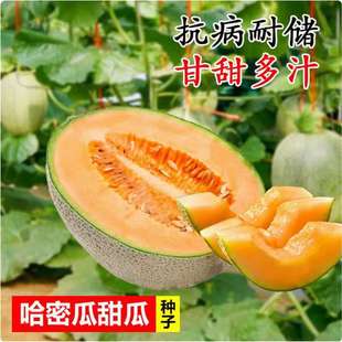 ���羳��؛���½��W�y���ܹϷN���ļ���ˮ�����۹�����������̨