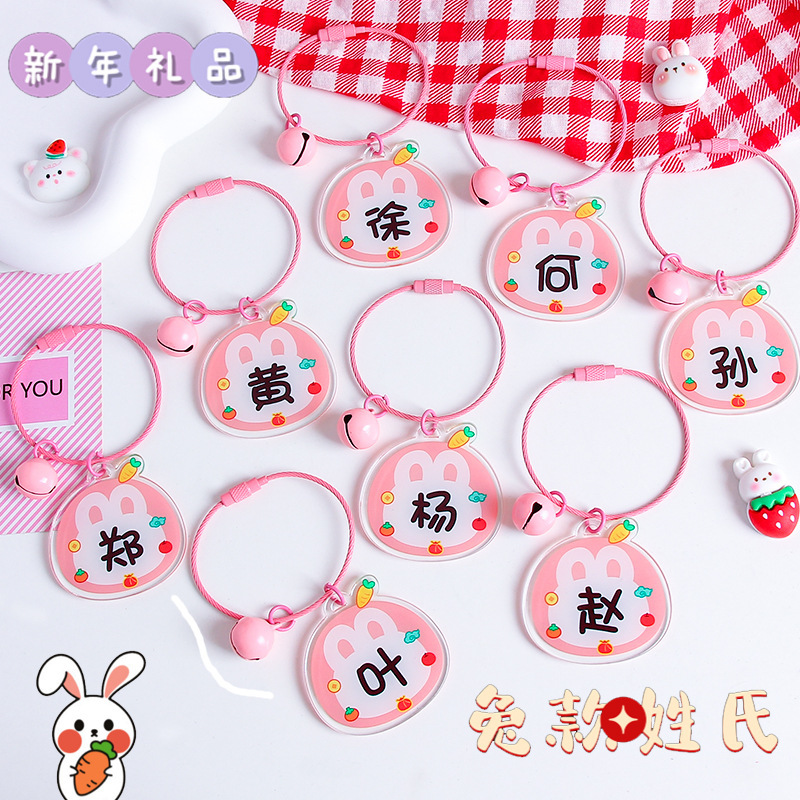 New Year Rabbit Family Name Wire Rope Keychain Acrylic Hundred Family Name Pendant Personalized Bag Hanging Jewelry Creative Gift