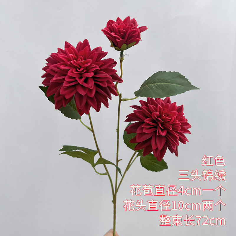 Kepala Dahlia 3