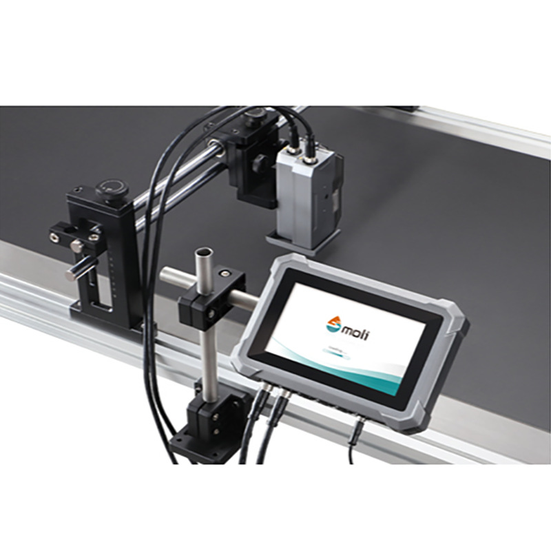 Multi-Head Inkjet Printer for Buyers, Food and Pharmaceutical Assembly Line Inkjet Coding Machine, Carton Packaging Production Date Coding