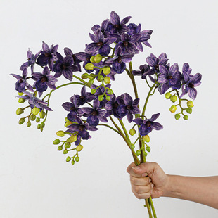 ���滨С2��ǧ�B�m�����m֩���m��c�Ҿ��bٻ��Ƶ��c�廨��