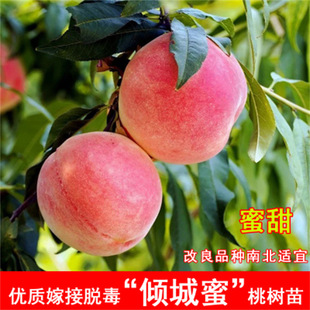 �A���������Ҙ����Ϸ������Nֲ�޽��Ҙ������Ե��� ����Ѫ�ҹ���