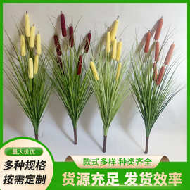 跨境批发厂家室内仿真植物芦苇6头狗尾巴水蜡烛草 绿植仿真芦苇草