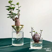 批发插花玻璃花瓶现代简约风摆件干花北欧客厅透明小口铜花器