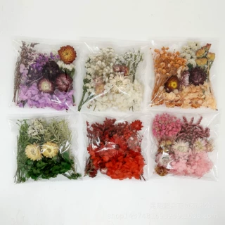 【袋装花】永生花干花手工DIY相框永生花团扇团建活动干花滴胶